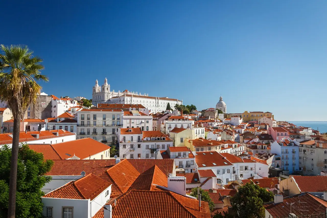 Orange-tiled rooftops of old Lisbon in clear blue light, with a palm tree on the left, a white twin-towered church and a dome above the roofs and a strip of river on the right