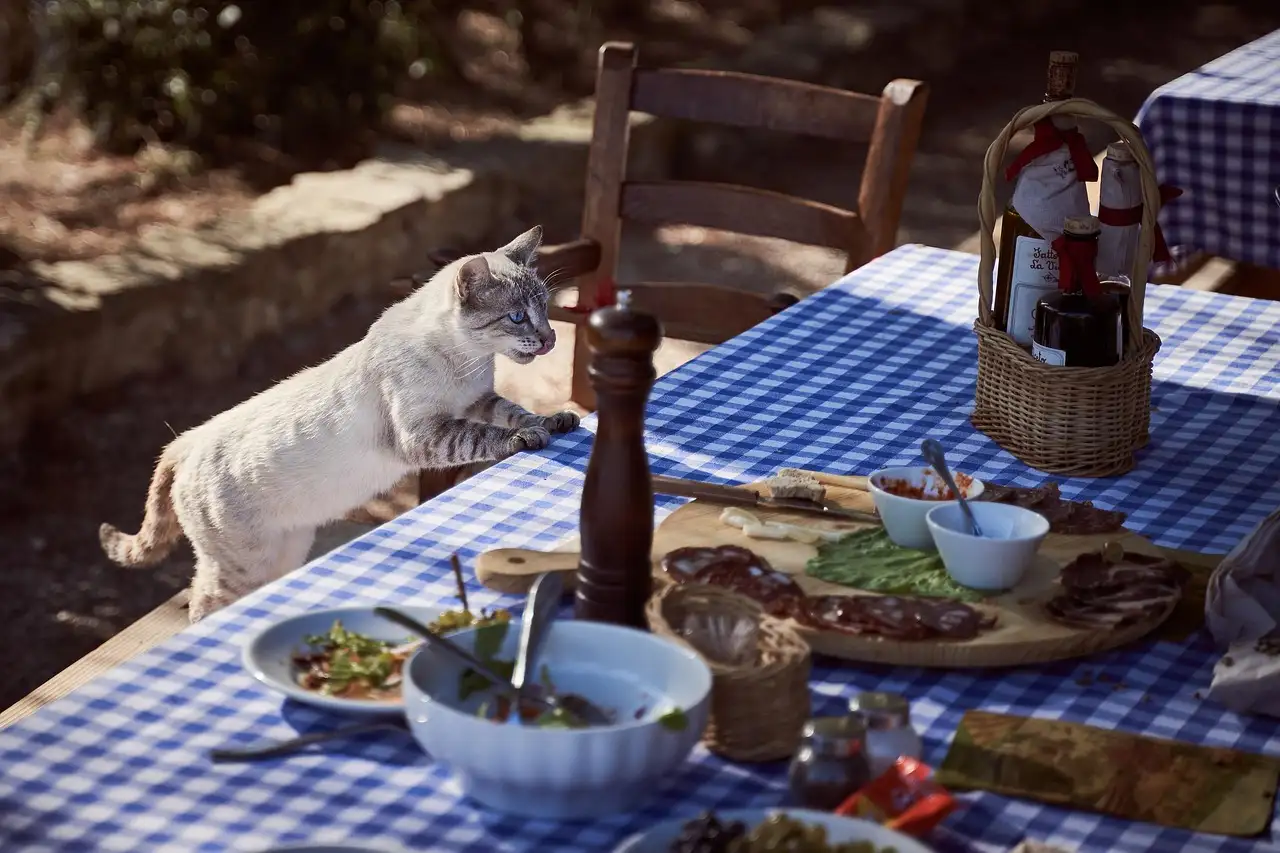 Rustic table with a blue checked cloth set with cured meats, bread and a bottle of wine