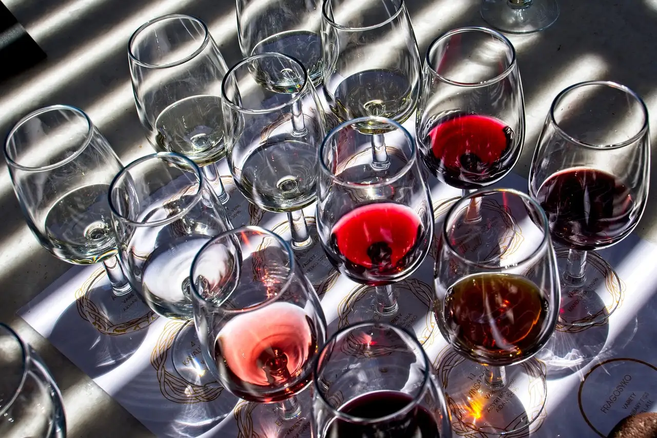 Rows of tasting glasses filled with red, rosé and white wine, seen from above