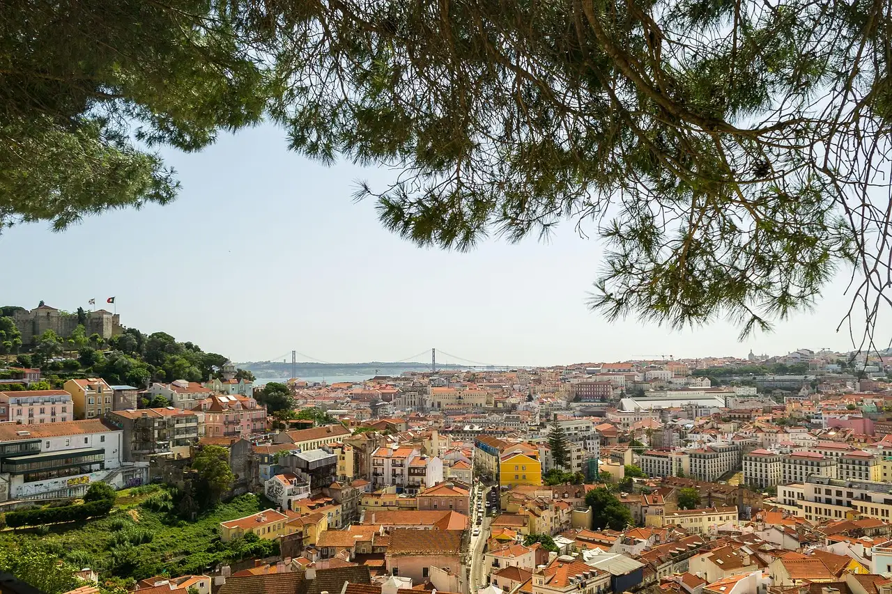 Lisbon's terracotta rooftops and São Jorge Castle seen through pine branches from Miradouro da Graça