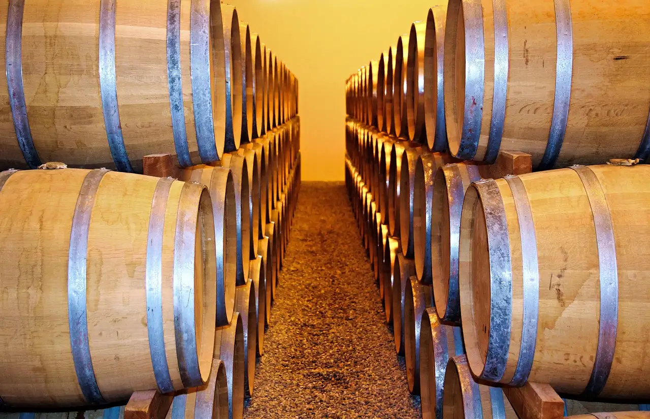 Aisle between stacked oak wine barrels in a winery cellar